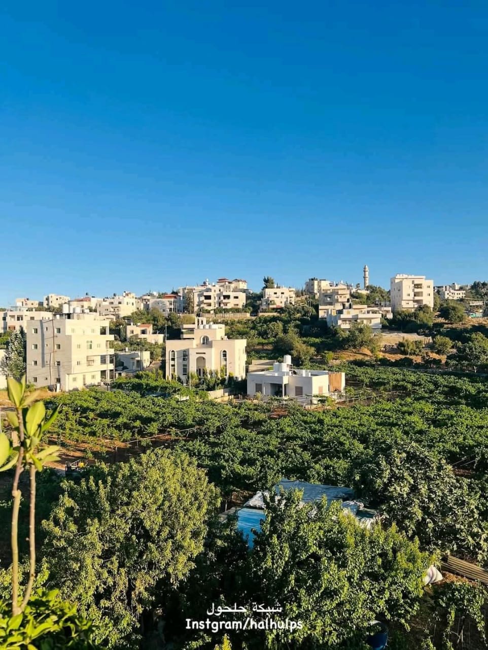 الخليل | موسوعة القرى الفلسطينية الخليل | موسوعة القرى الفلسطينية